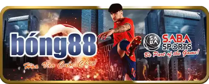 Chiến lược cá cược thể thao tại vip789 win